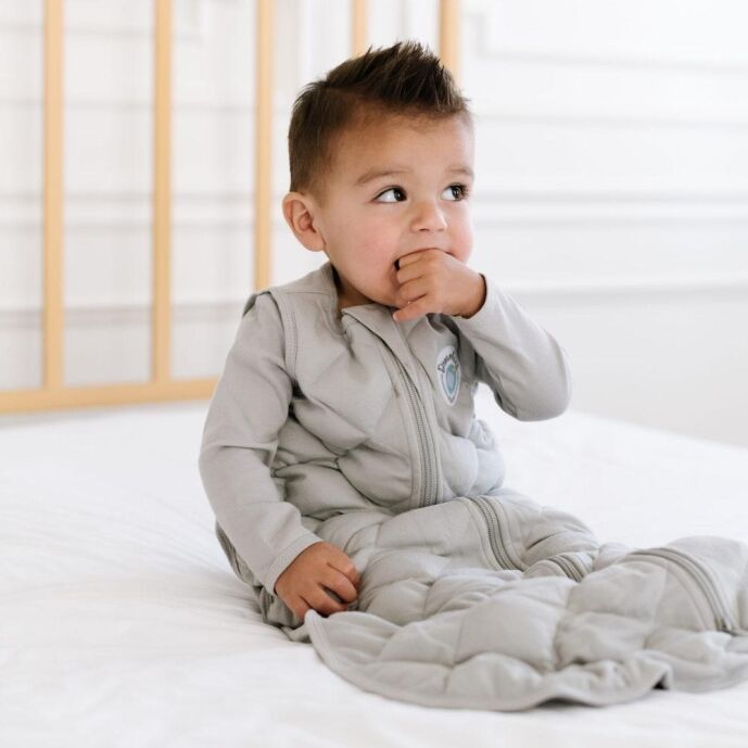 Dreamland Baby Weighted Sleep Sacks